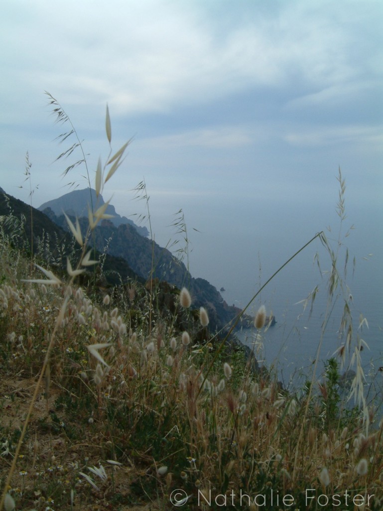 DSCF0250cc