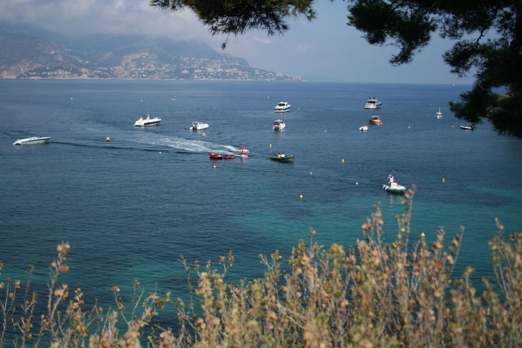 paloma plage 2